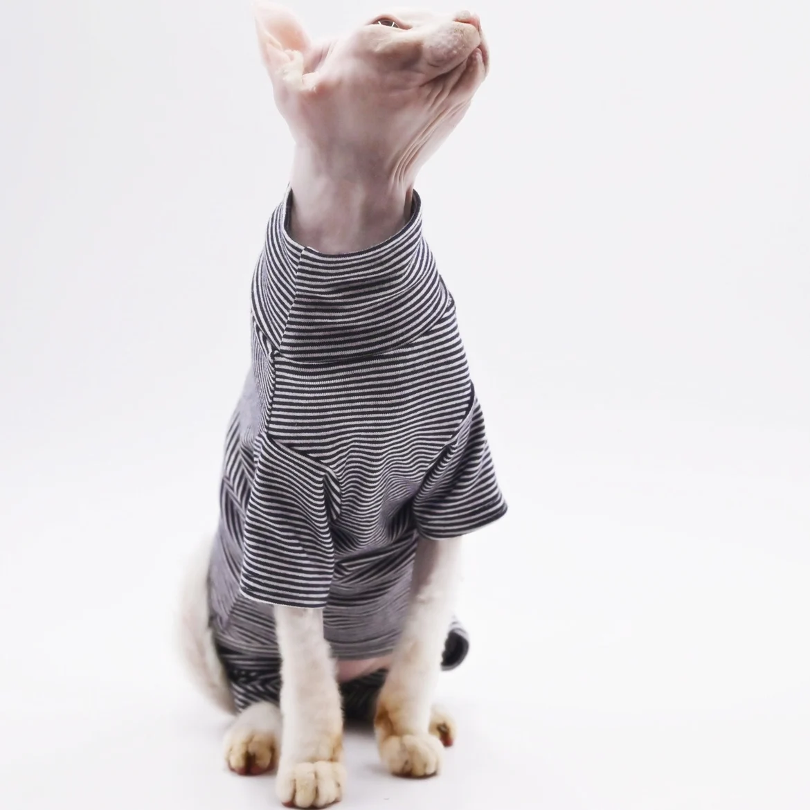 Roupa para Gatos Sem Pelos Macia de Quatro Pernas Tamanho XL - Imagem 4