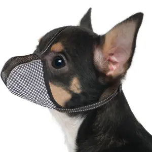 focinheira de malha para cães