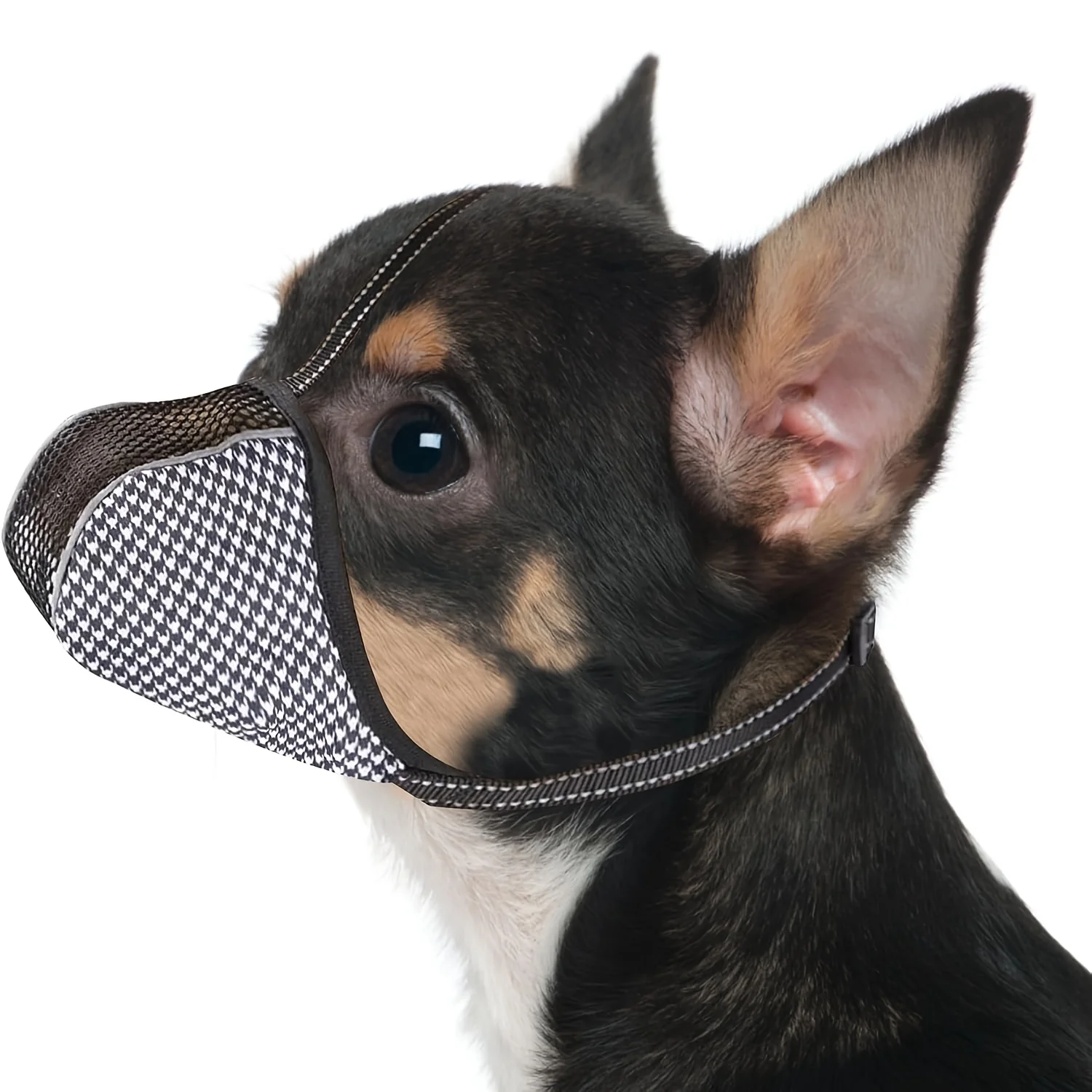 focinheira de malha para cães
