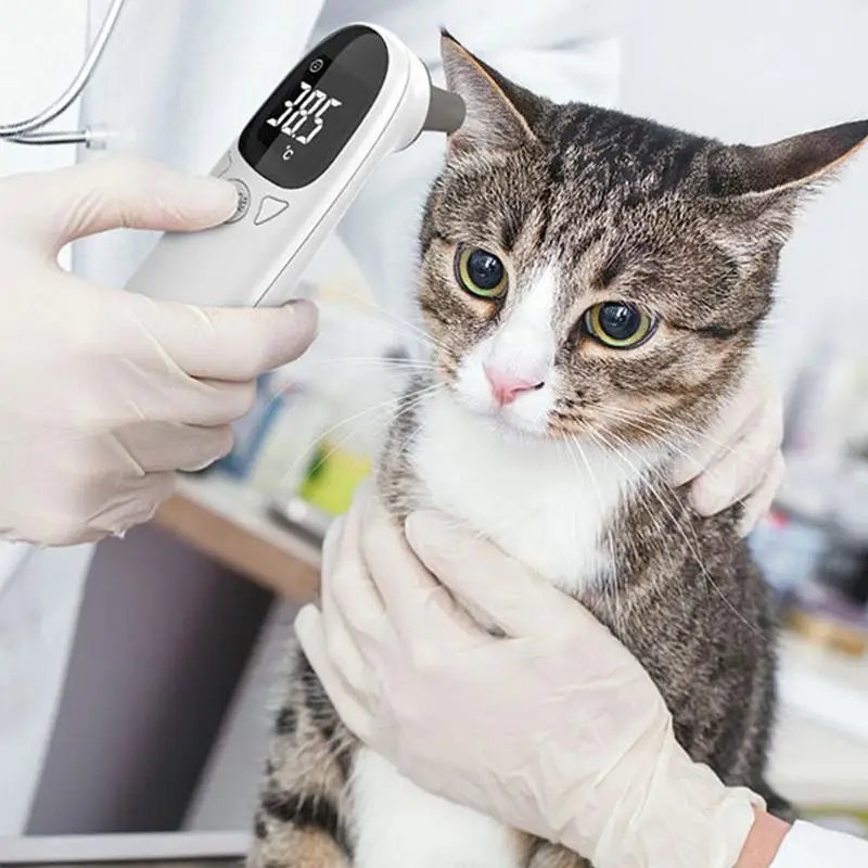Termômetro Digital para Pets sem Contato para Cães e Gatos - Imagem 4