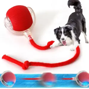bola elétrica para cães pequenos recarregável