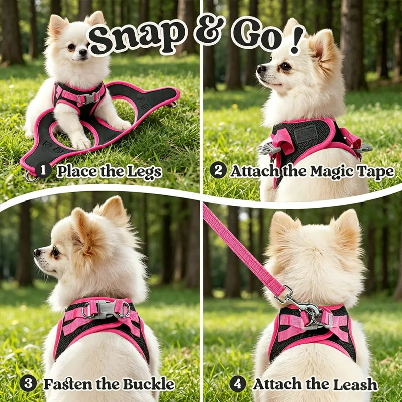 Coleira Peitoral para Cães Pequenos Refletiva com Guia - Imagem 3