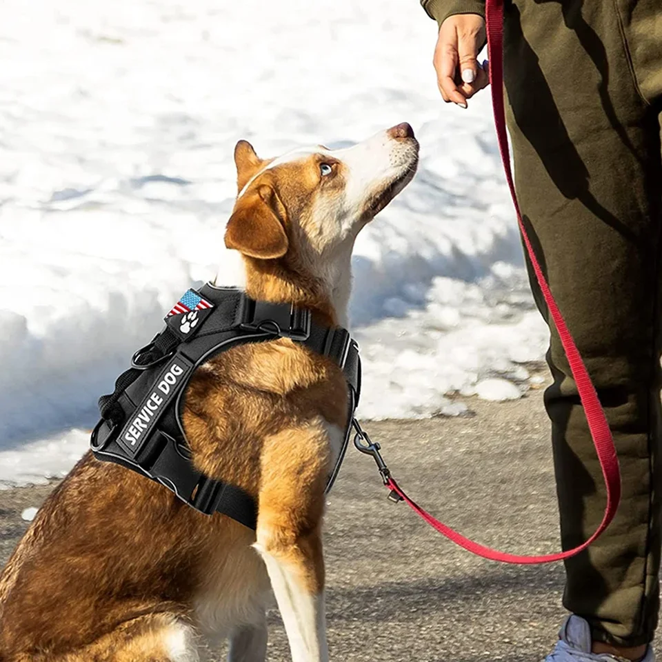 Colete Peitoral para Cães com Faixa Refletiva e Alça - Imagem 4