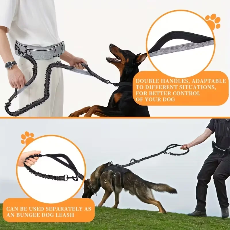 Coleira para Cães com Bolsa de Cintura Refletiva Ajustável para Corrida - Image 4