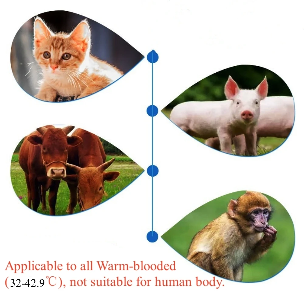 Termômetro Infravermelho para Cães e Gatos Medição Rápida na Orelha - Imagem 5