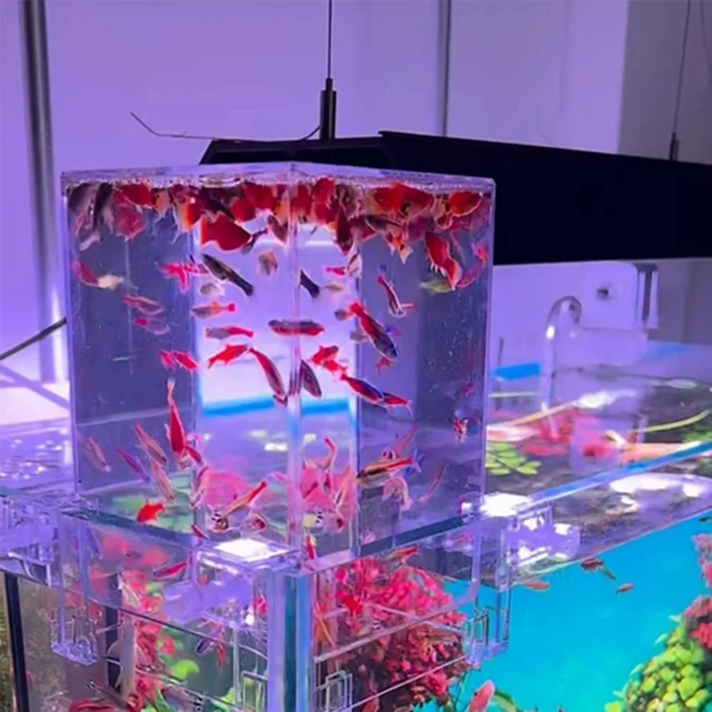 Extensor de Aquário Aéreo para Peixes 19x12x13cm com 3 Fivelas de Fixação - Imagem 3