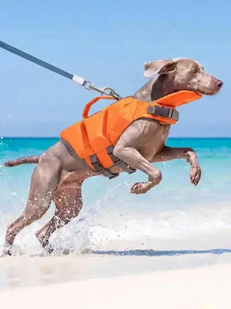 Colete Salva-Vidas Ajustável para Cães de Alta Flutuabilidade - Image 5