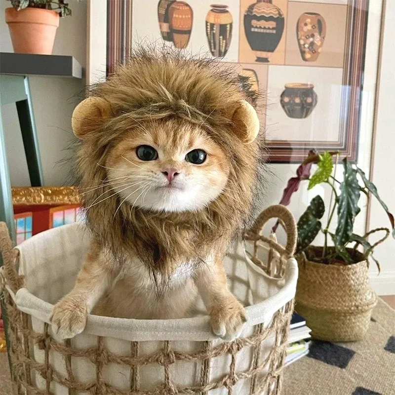 Chapéu de Leão para Gatos com Arnês Elástico - Imagem 5