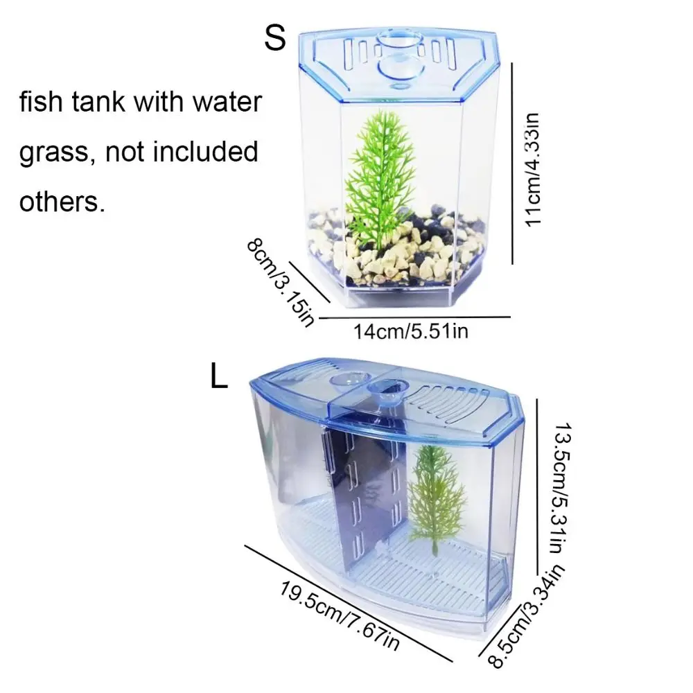 Aquário Duplo para Betta e Guppy com Isolamento Branco - Image 6