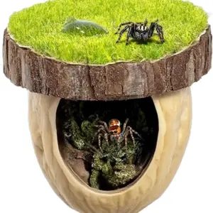 kit decoração habitat aranha