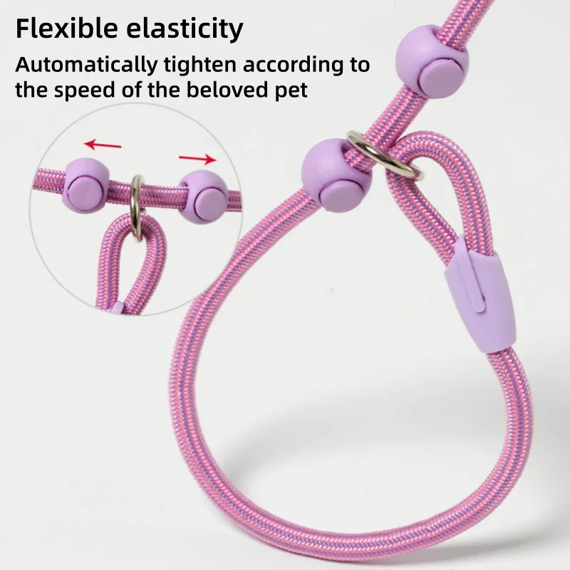 Guia Coleira P para Cães Pequenos e Médios Ajustável em Nylon 160cm - Imagem 5