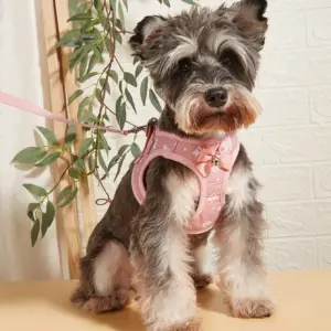 coleira e arnês floral para cães e gatos
