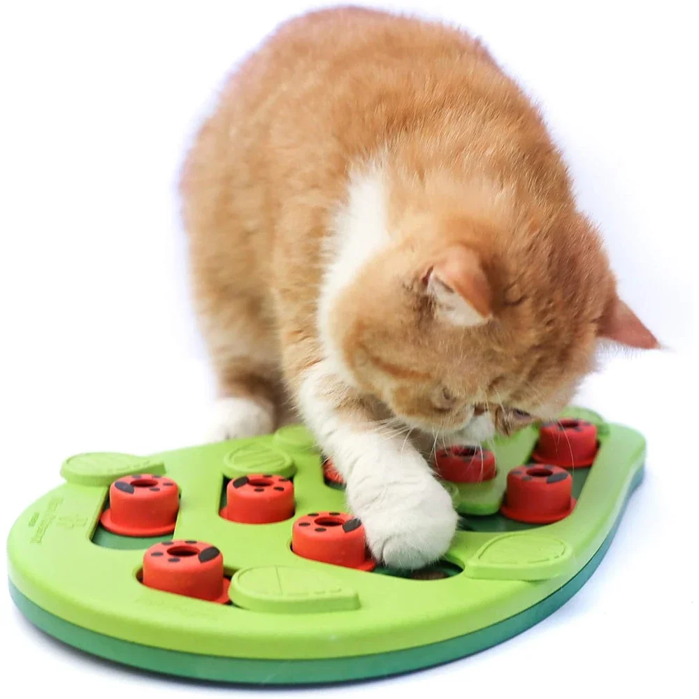 Brinquedo Quebra-Cabeça para Gatos Comedouro Lento 14 Compartimentos - Imagem 6