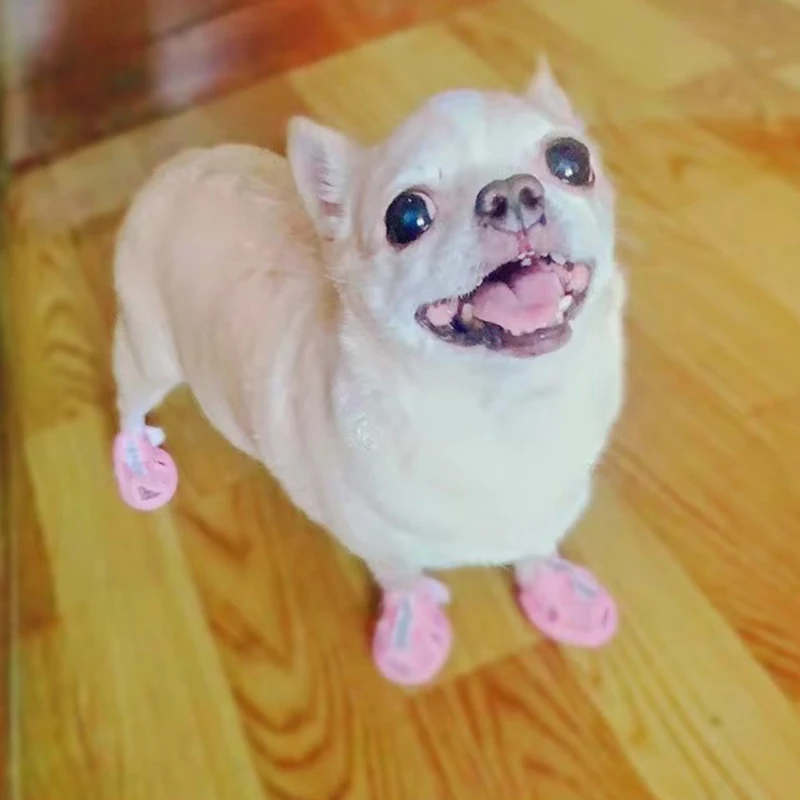Sandália para Cães Pequenos com Sola Antiderrapante em Tendão de Boi - Imagem 4