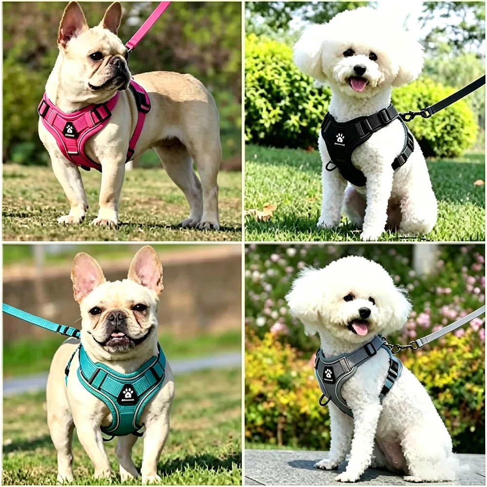 Conjunto de Peitoral e Guia para Cães Pequenos Ajustável e Refletivo - Imagem 3