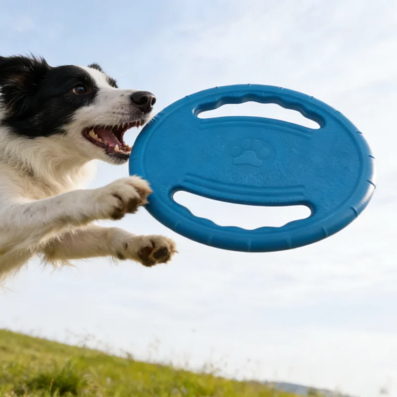 Brinquedo Disco Voador EVA para Cães de 20 cm - Imagem 3
