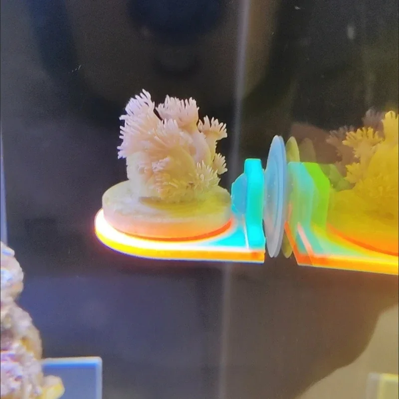 Suporte Coral SPS 3D PLA para Aquário 4x4 cm Furo 1,5 cm - Imagem 5