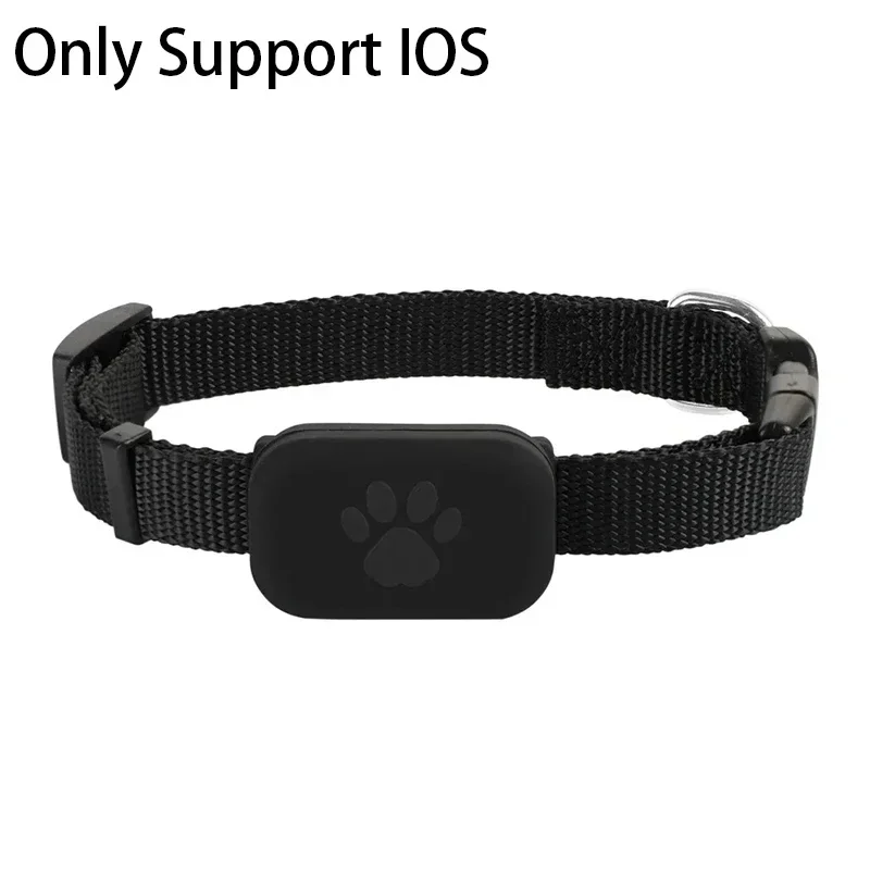 coleira gps para gatos