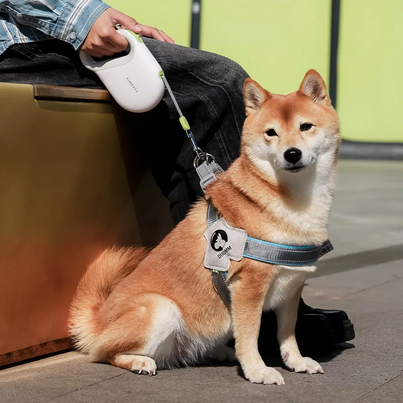 Trela Retrátil para Cães 5m com Cinto Refletivo - Imagem 2