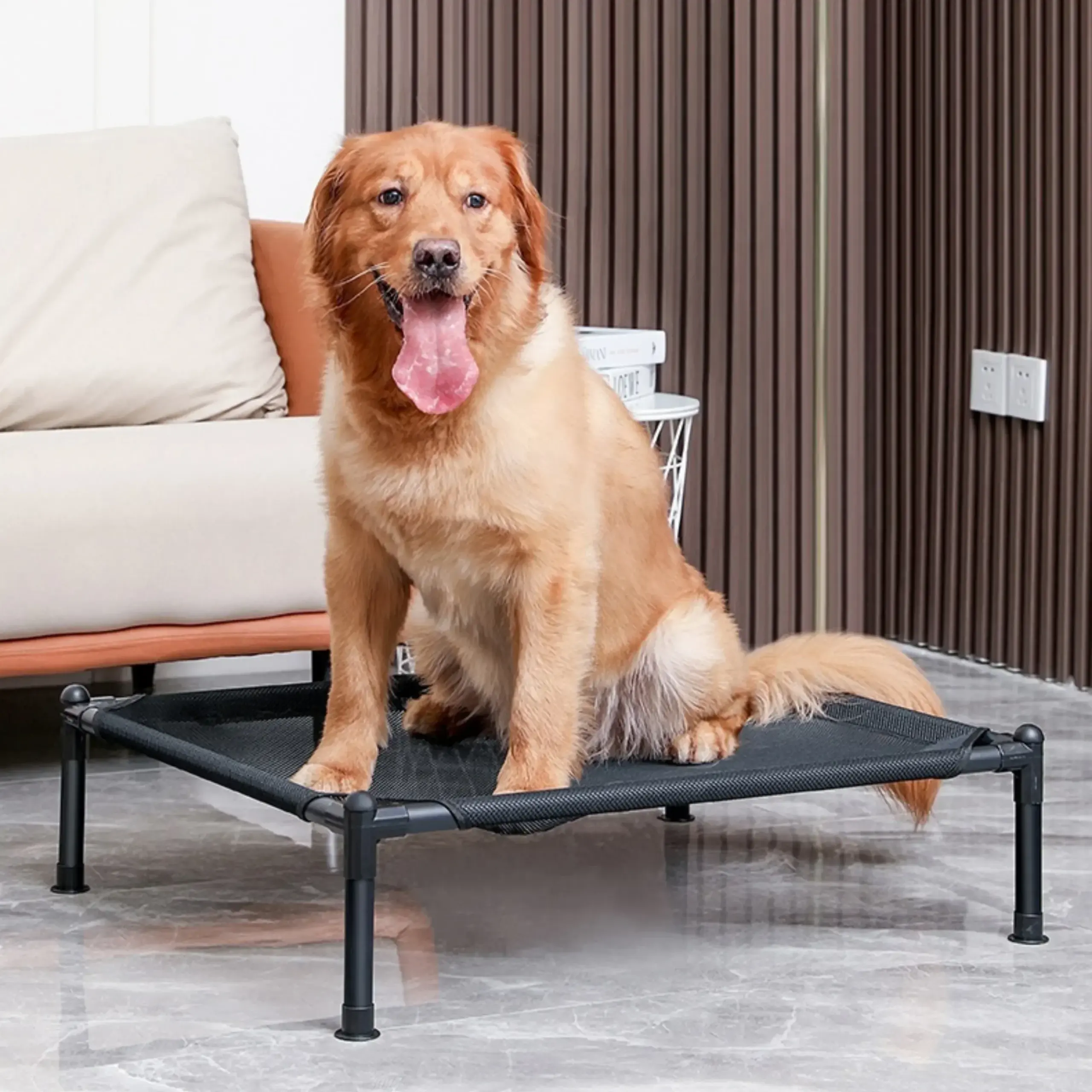 cama elevada dobrável para cães e gatos