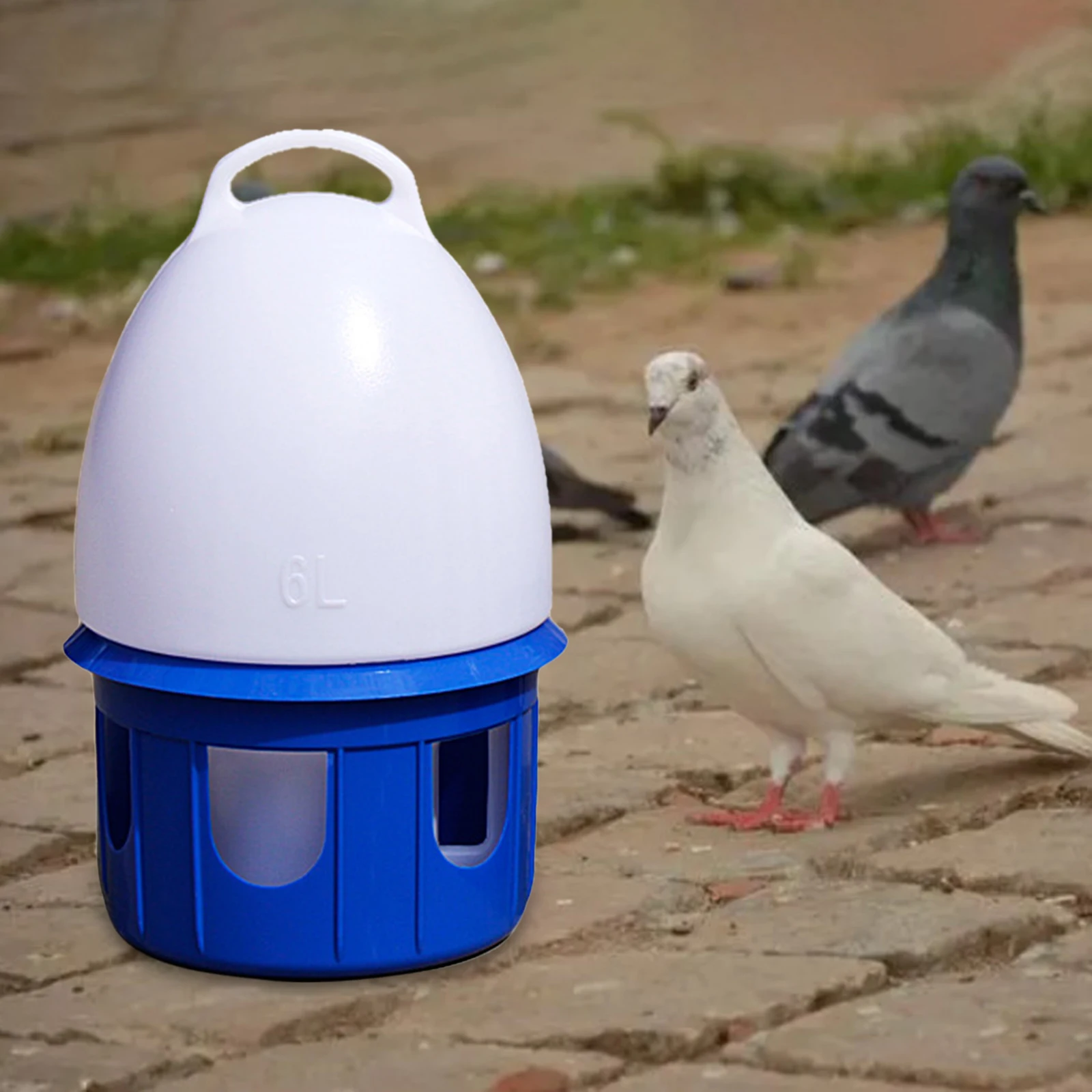 Bebedouro para Pássaros e Aves com Alça e Encaixe na Gaiola - Imagem 3