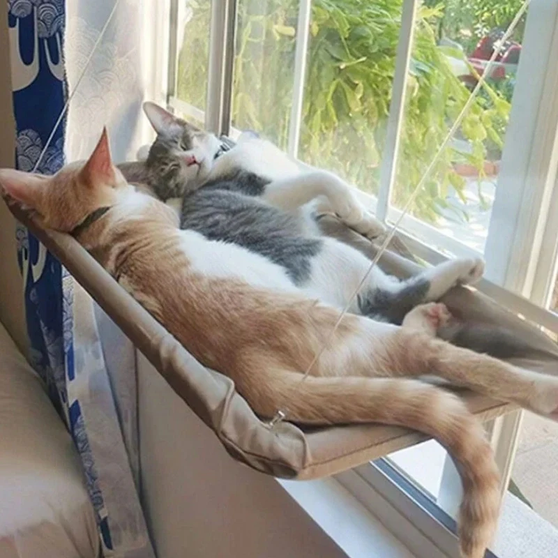 Rede para Gatos de Janela Lavável com Fixação por Ventosa - Imagem 3