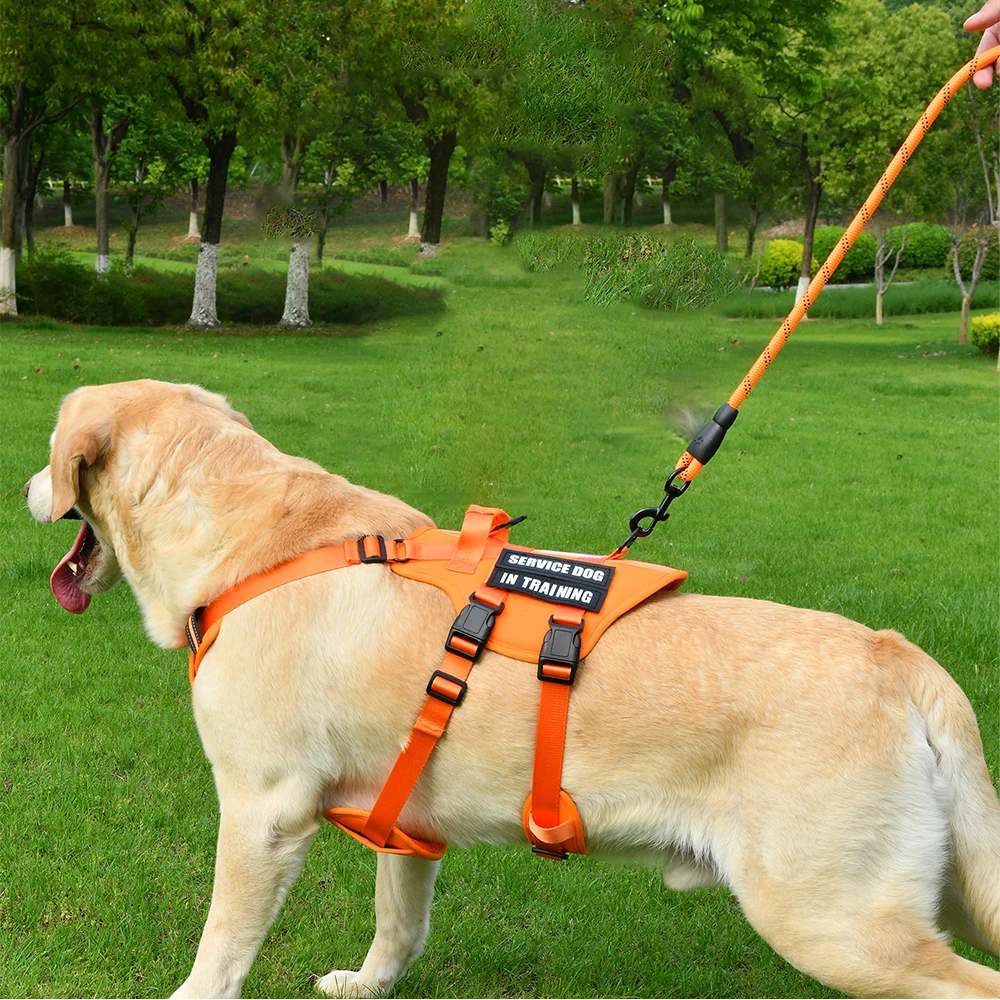 Colete Tático para Cães KOMMILIEF Nylon 1050D com Painéis de Velcro - Imagem 6
