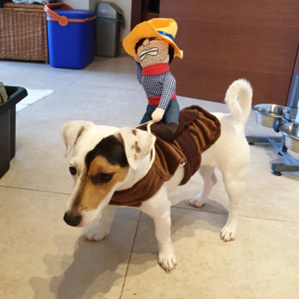 Fantasia de Cowboy para Cães e Gatos de Pequeno Porte para Festa - Imagem 6