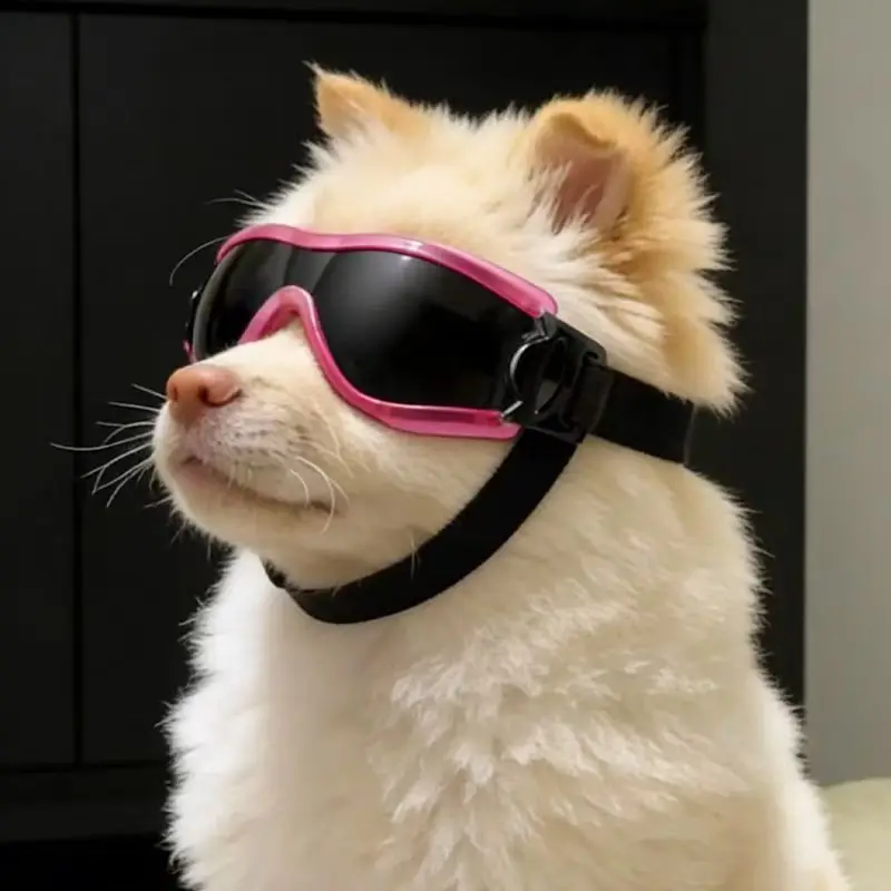 Óculos de Sol para Cães com Proteção UV e Lentes à Prova de Vento - Imagem 5