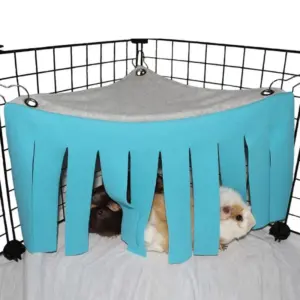 tenda de canto para porquinho-da-índia