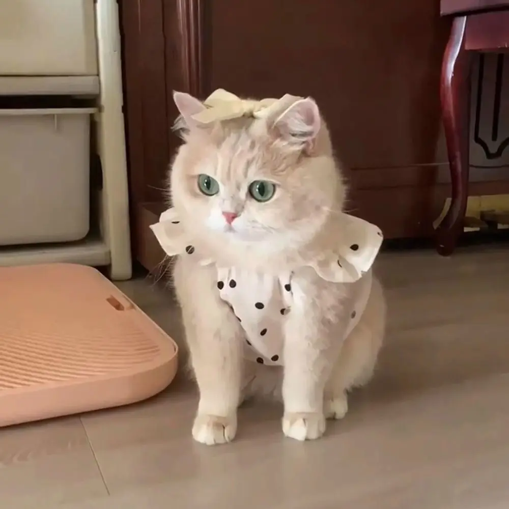 Vestido para Cães e Gatos Estilo Princesa em Poliéster - Imagem 4