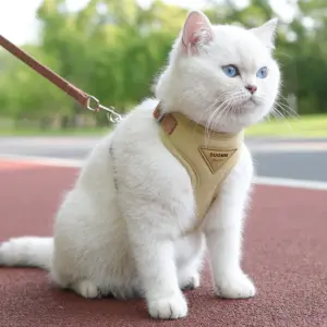 arnês e trela para cães e gatos pequenos