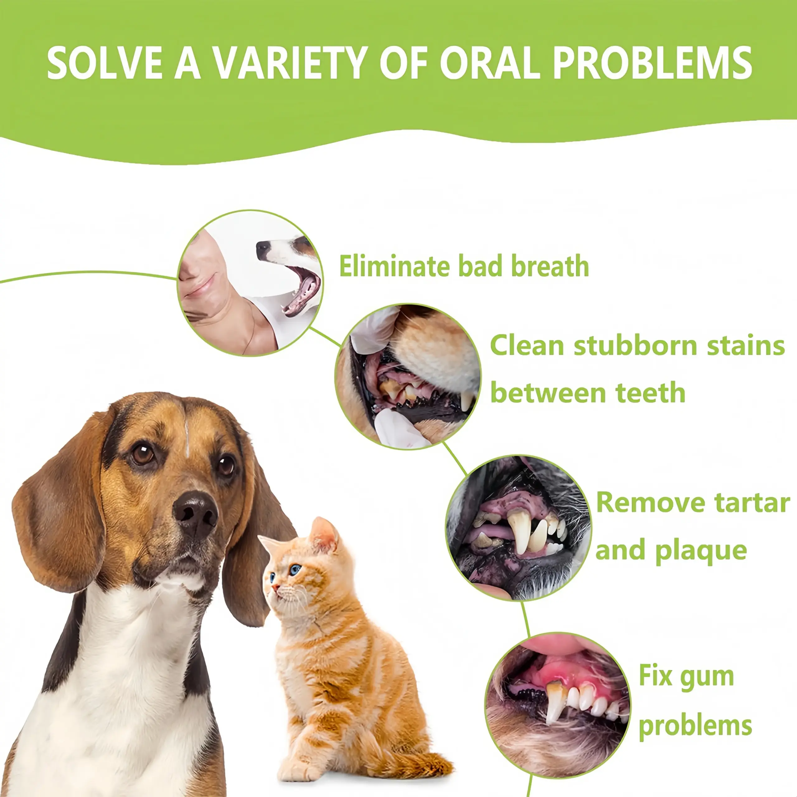 Kit Limpeza Dental para Cães e Gatos em Aço Inoxidável - Image 4