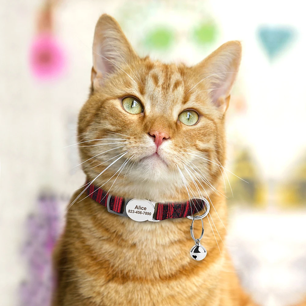 Coleira para Gato de Nylon com Placa Gravada e Sino Ajustável - Imagem 5