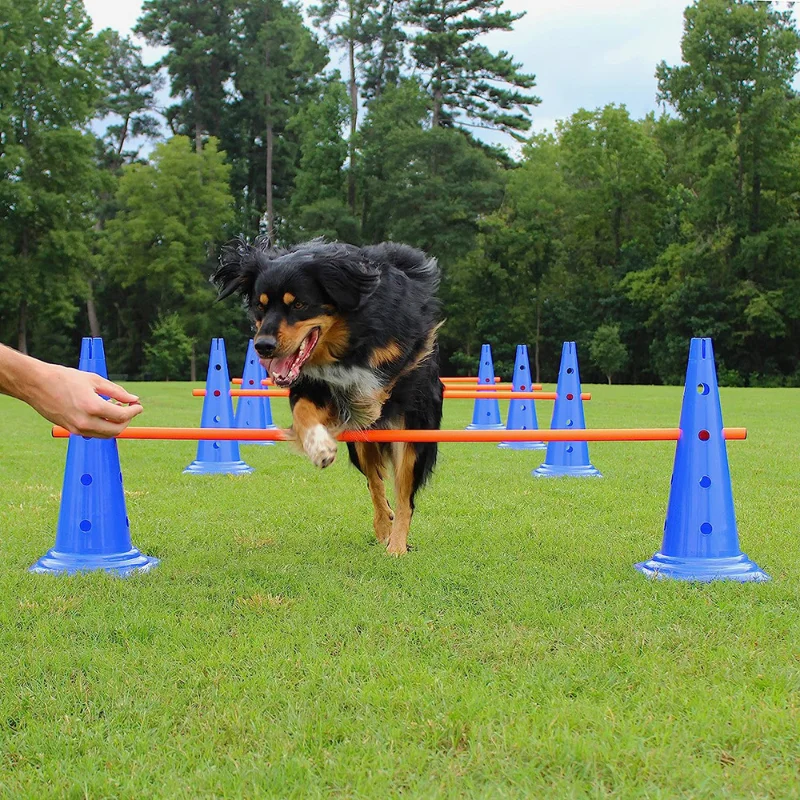 Obstáculo para Cães Treinamento de Agilidade - Imagem 3