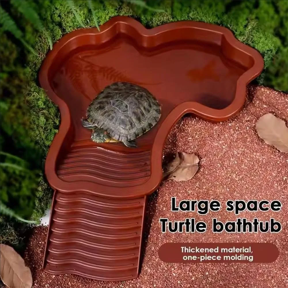 Piscina para Répteis com Rampa e Borda: para Tartarugas e Lagartos - Imagem 2