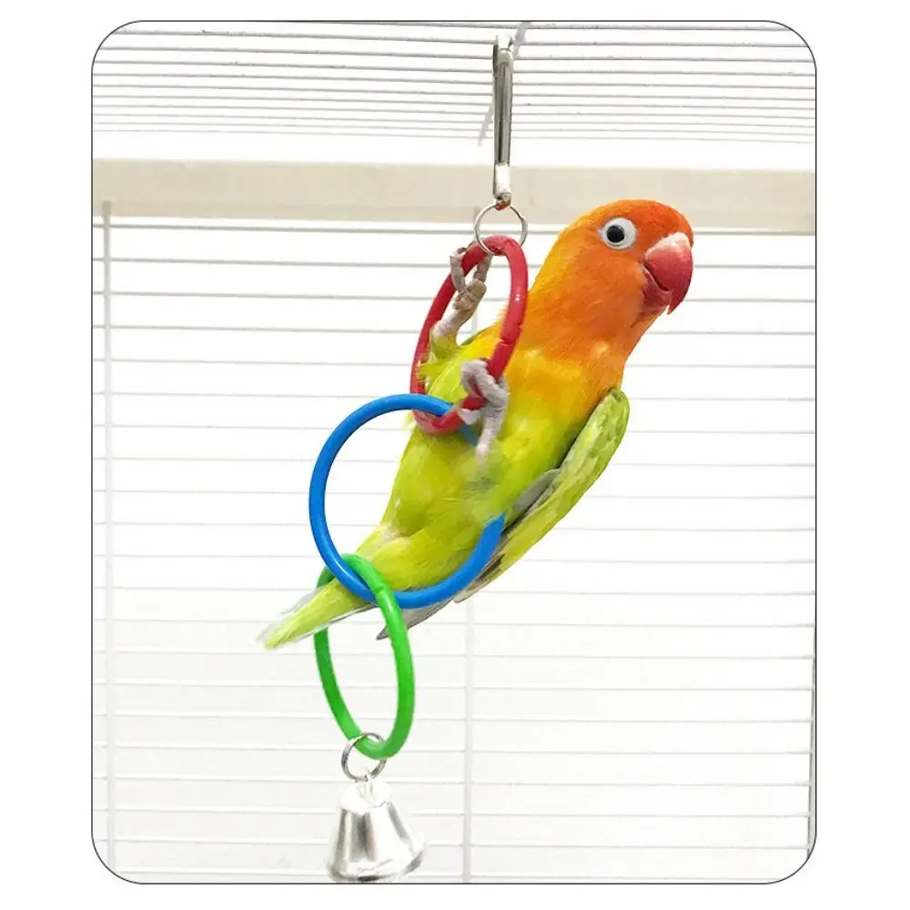 Brinquedo de Balanço para Pássaros de Plástico com Argolas para Gaiola - Imagem 3
