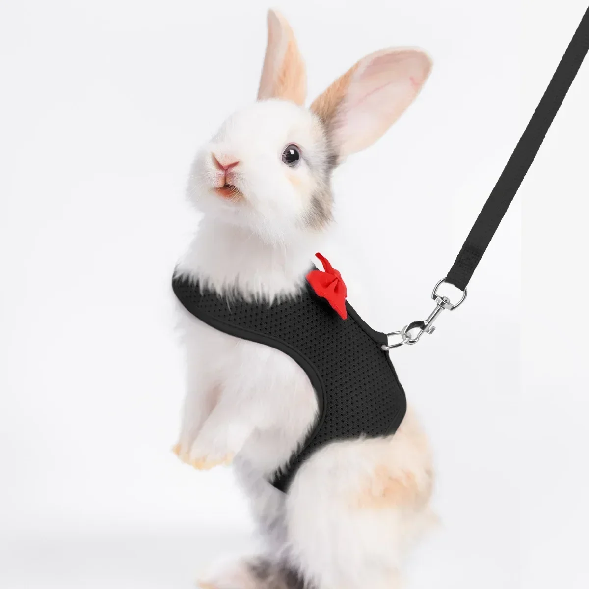 Arnês de Malha para Coelhos Ajustável para Passeio - Imagem 3