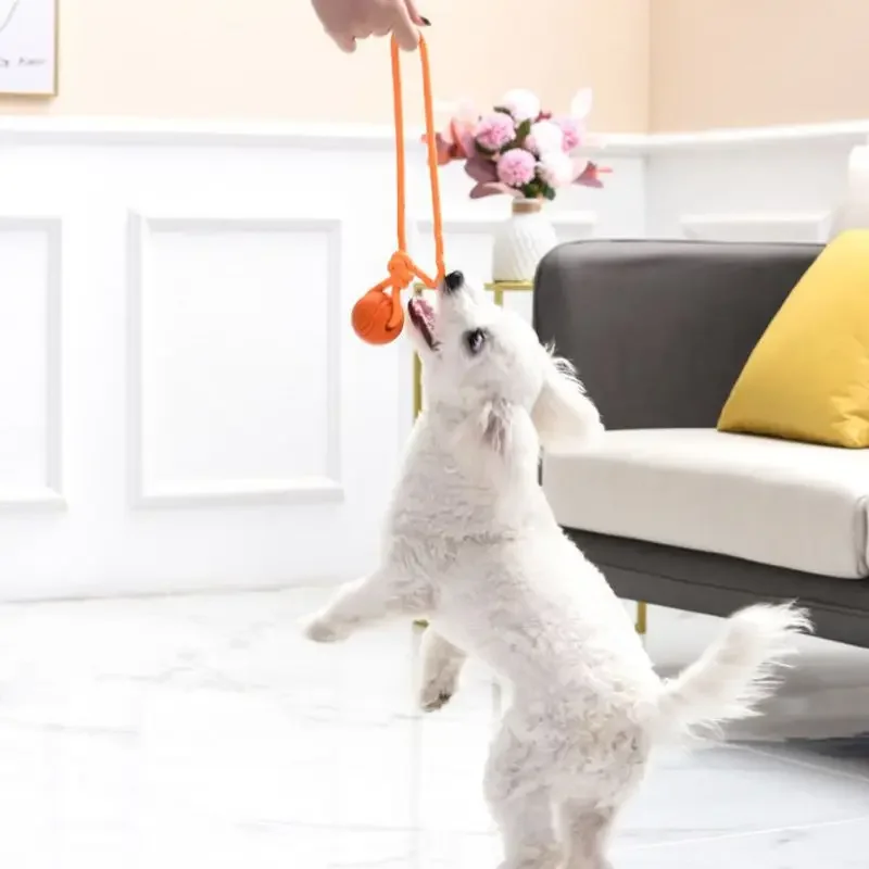 Bola de Corda para Cães Pequenos e Médios de Algodão 5 cm - Imagem 3