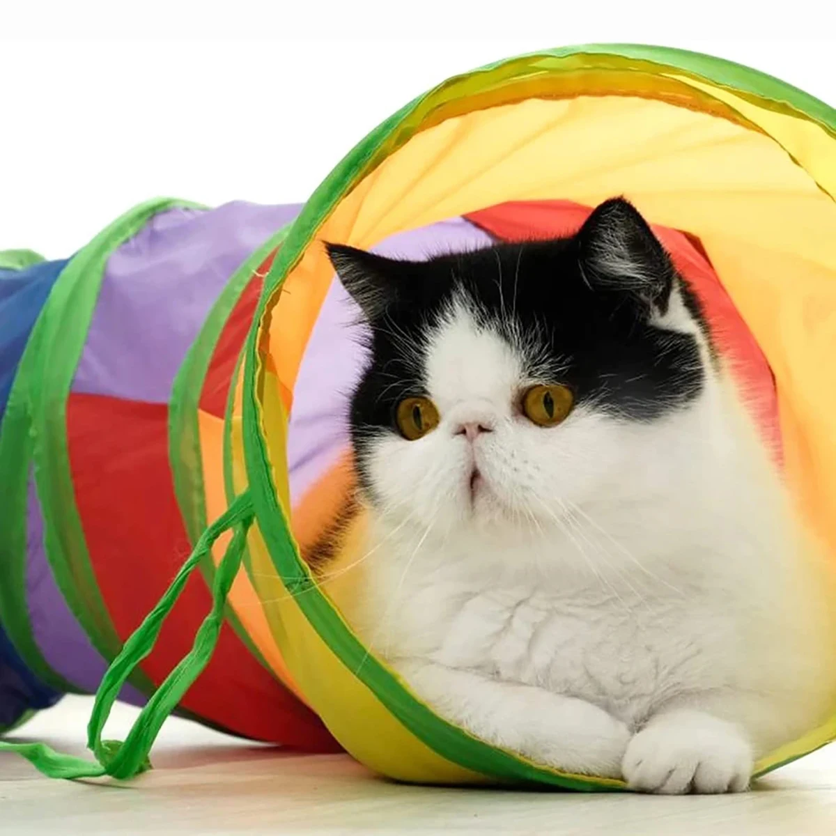 Túnel Dobrável para Gatos e Pets em Oxford com Múltiplas Entradas - Imagem 3