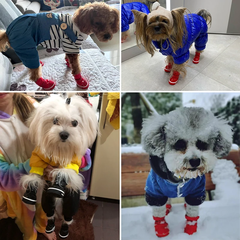 Sapatos de Inverno para Cães Pequenos de Lã e Impermeáveis - Imagem 6
