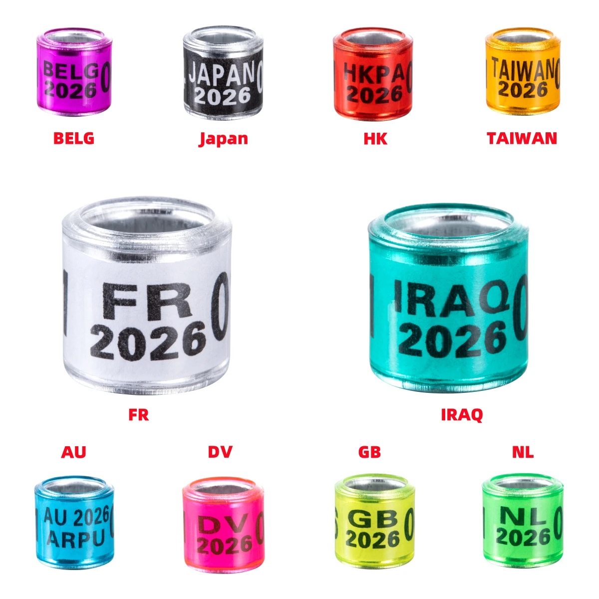 Anel de Pé para Pombos 2026 de Alumínio 8mm com Identificação - Imagem 3