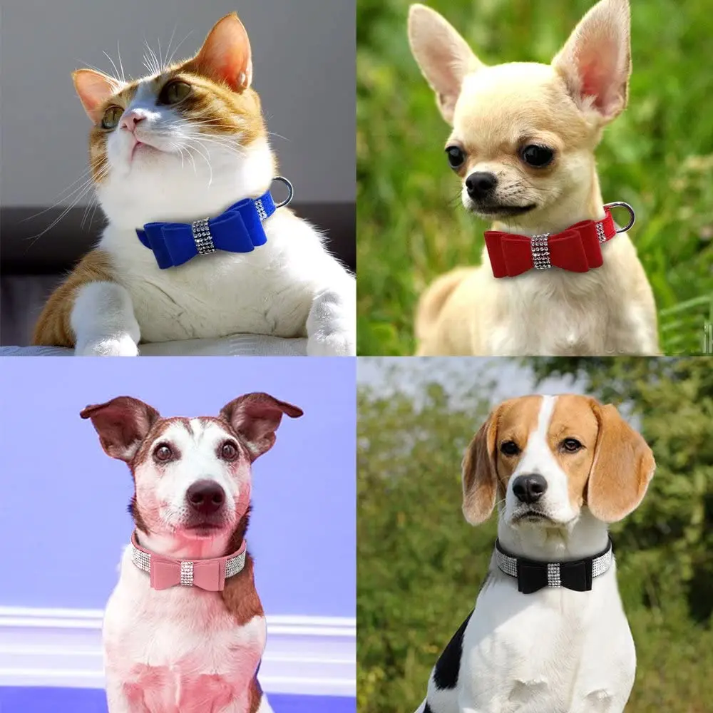 Coleira de Veludo para Cães com Strass e Borboleta - Image 6