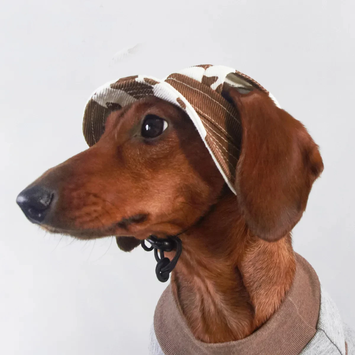 Chapéu Protetor Solar para Cães com Furos para Orelhas Ajustável - Imagem 2