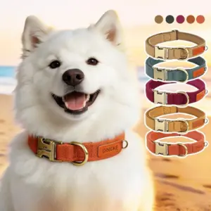 coleira personalizada para cães
