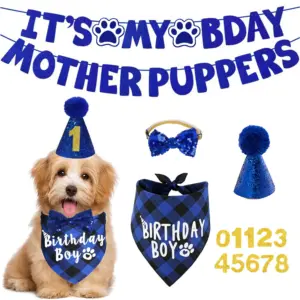 kit de aniversário para cães