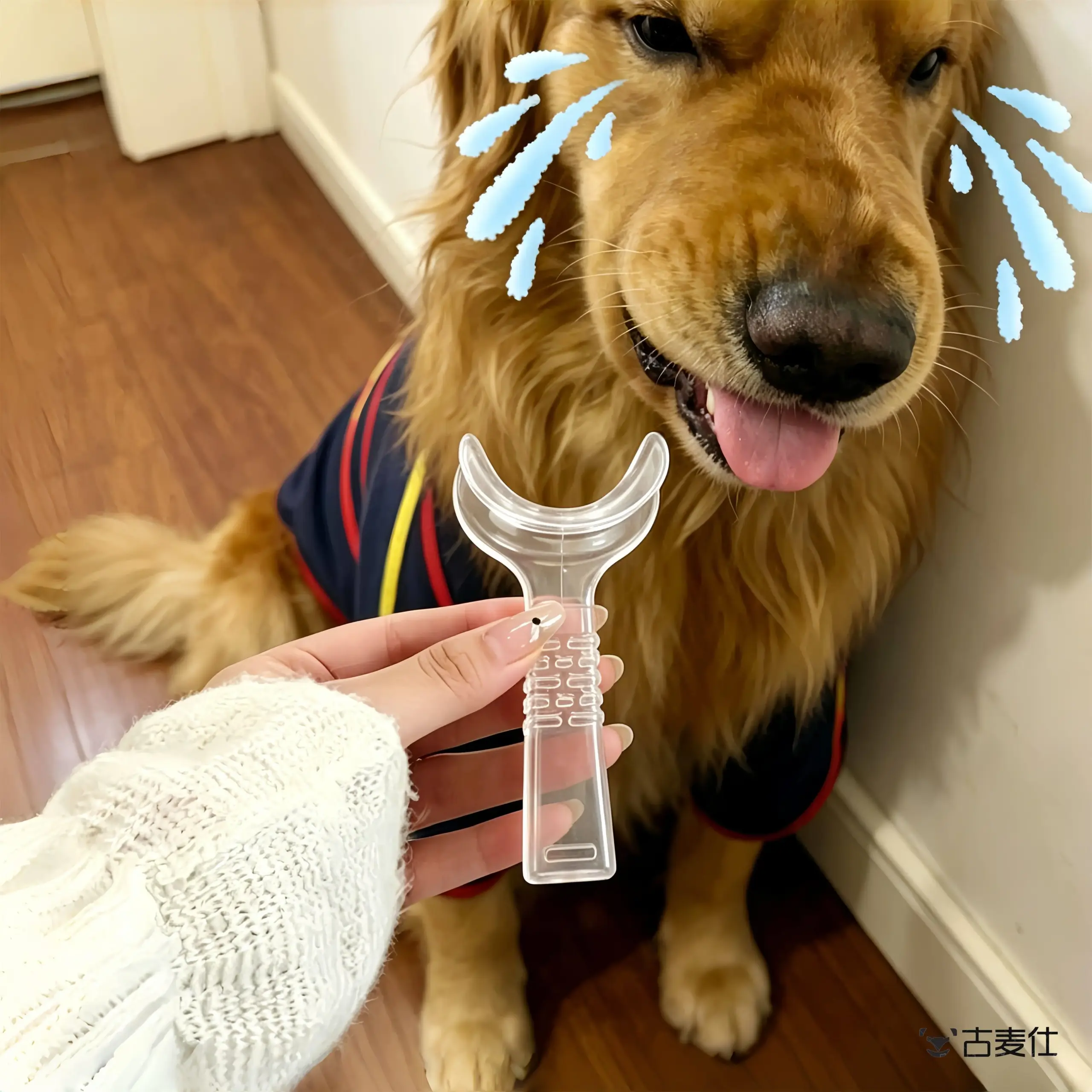 Escova Dental Pango para Cães e Gatos com Cabeça Única Resistente - Image 4