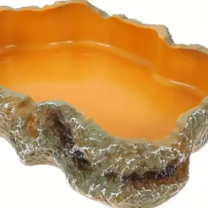 tigela de água para répteis de resina