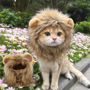 chapéu de leão para gatos e cães