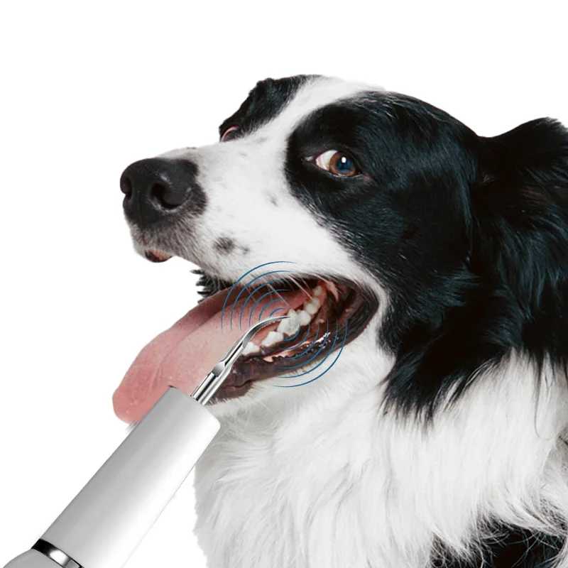 Escova de Dentes Elétrica para Cães e Gatos Ultrassônica - Imagem 4